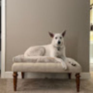 Meet your Posher, Mario